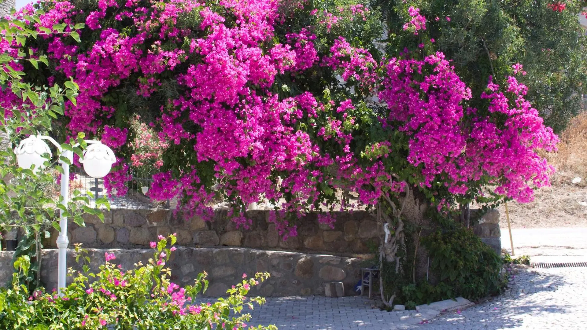 Sun Garden Apart Hotel Yalikavak